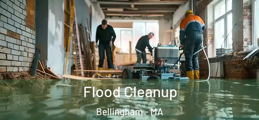  Flood Cleanup Bellingham - MA