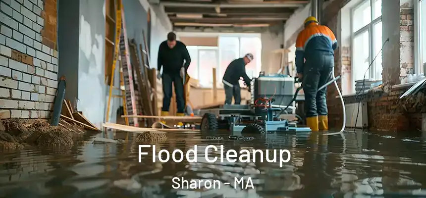  Flood Cleanup Sharon - MA