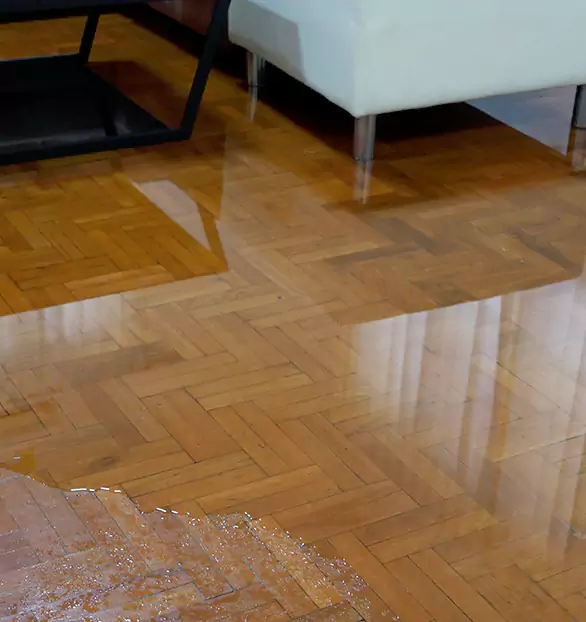 Trusted Emergency Water Restoration Company in Bourne, MA