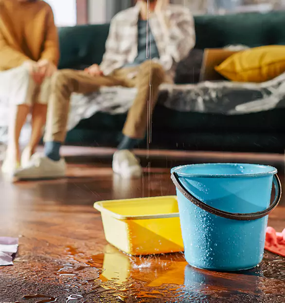 Trusted Water Mitigation Company in Bourne, MA