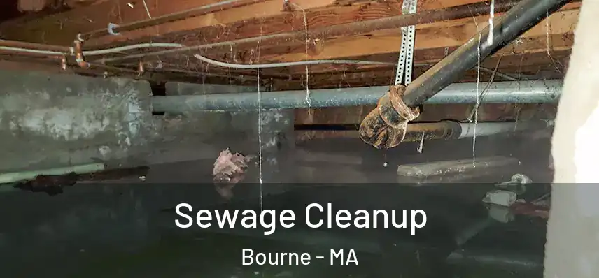 Sewage Cleanup Bourne - MA